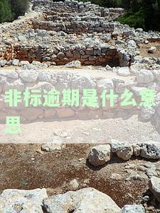 非标是指什么？详解非标的含义与解释