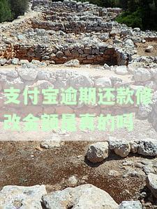 支付宝逾期还款修改金额：真的吗？安全吗？如何修改及修复？