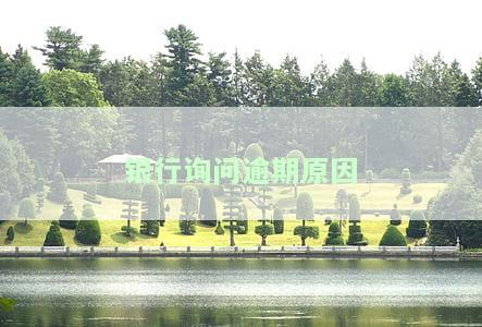 全面解析：银行贷款逾期原因的正确写法与分析