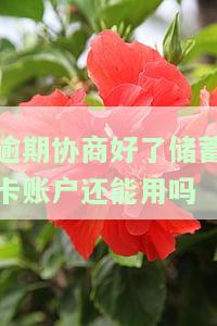 银行协商后逾期：如何避免被起诉及影响？