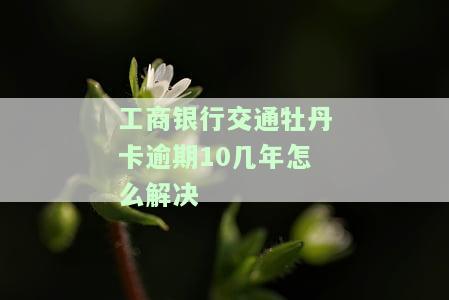 工商银行的牡丹交通卡是否收取年费？费用多少？新版与旧版有何区别？