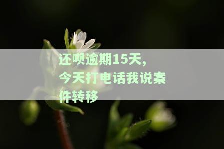 还呗逾期4个月，刚被告知已走司法程序，该如何应对？
