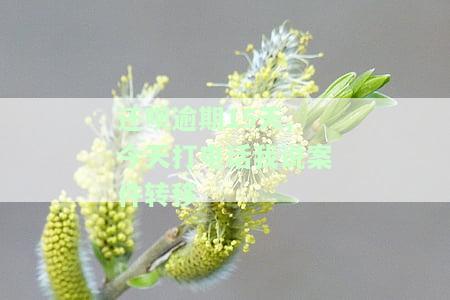 还呗逾期15天,今天打电话我说案件转移
