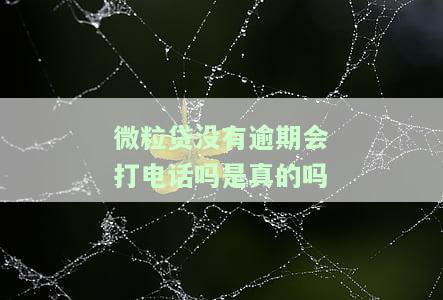 微粒贷没有逾期会打电话吗是真的吗
