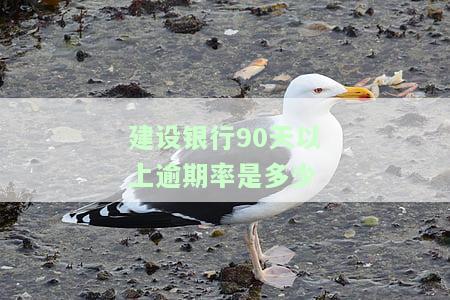 中国建设银行逾期规定全解析：最新消息与时间限制