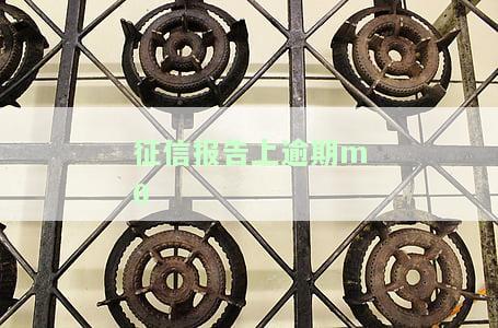 征信报告上逾期如何准确显示及影响解析