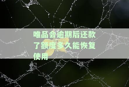 唯品会逾期后能否继续使用？逾期多久会被要求一次性结清所有款？