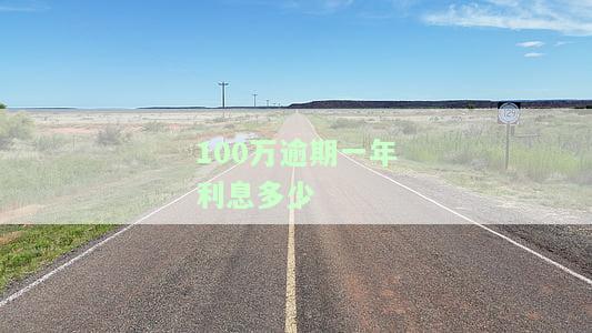 计算100万逾期一年利息：合法吗？