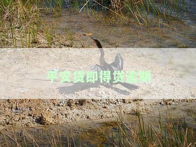 平安贷即得贷逾期-平安的贷即得