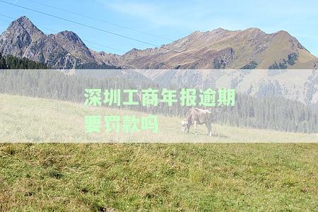 深圳工商年报流程详解：网上申报步骤、入口及操作流程全攻略