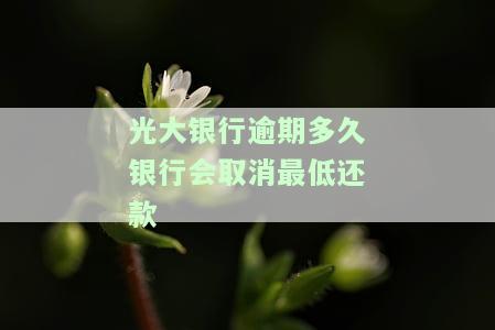 光大银行逾期多久银行会取消最低还款-光大银行逾期多久银行会取消最低还款额