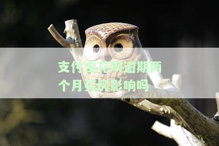 支付宝花呗逾期两个月买房有影响吗？解决方法是什么？