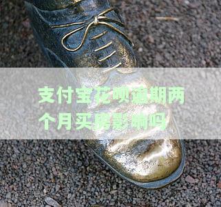 支付宝花呗逾期两个月会纳入中国银行征信吗？后果严重，需重视