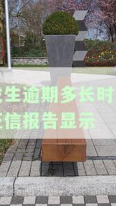 发生逾期多长时间后，征信报告将显示欠款及记录？