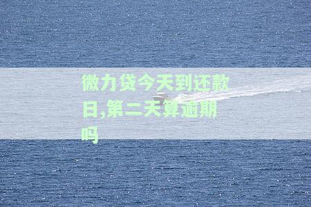 微利贷还款日扣款时间、顺序及逾期处理方法