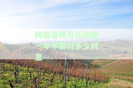 网商贷两万元逾期一年半要付多少利息-网商贷逾期两万半年多了会被起诉吗