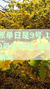 账单日9号还款日2号是什么意思？详解账单日与还款日的概念及计算方法