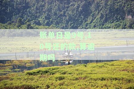 账单日是9号,10号还的款,算逾期吗-账单日是9号,10号还的款,算逾期吗