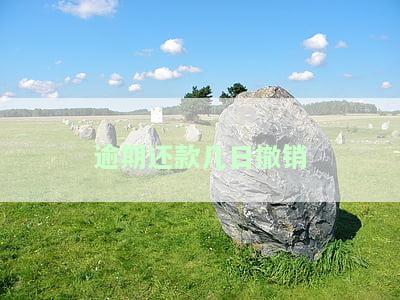 逾期还款几日撤销