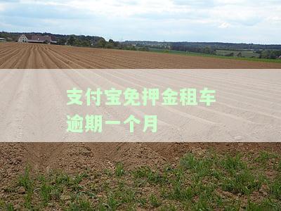 支付宝免押金租车逾期一个月处理办法及退款流程