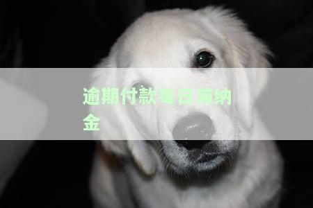 逾期付款滞纳金每日合法标准是多少？计入哪个会计科目？