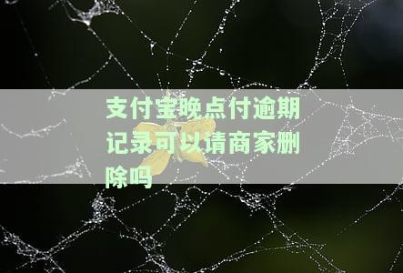 支付宝晚点付逾期会如何影响征信？多久需要还款？