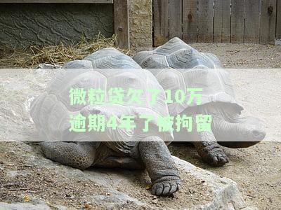 微粒贷欠了10万逾期4年被拘留，会受到怎样的法律处理？