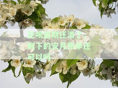 花呗账单有逾期，已还完本月，为何仍无法使用？