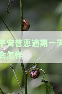 平安普贷款逾期一天：算逾期吗？会全额结清或上征信吗？