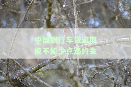 中国银行车贷逾期一年，能正常还款吗？逾期几个月、一个月的处理方式及滞纳金，忘记还款或晚还两天的解决办法