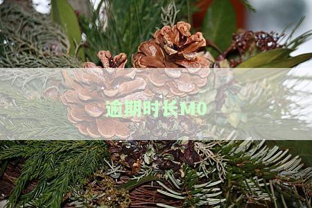 逾期时间较长：影响国企上班？能否利息减免？哪家银行更优？深入了解贷款逾期