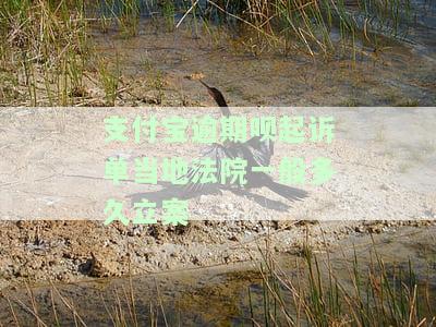 支付宝逾期说要起诉我，法院处理时间及真实性解析
