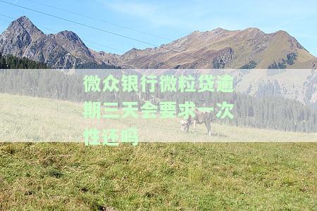 微众银行贷款逾期多久会影响征信、信用卡？逾期处理方法及法律责任