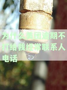 美团逾期10天未接催收电话，正常吗？