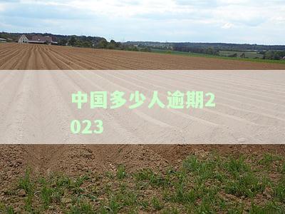 中国多少人逾期2023