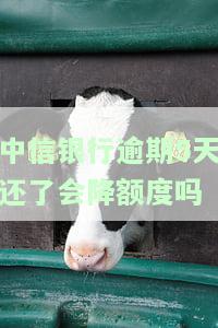 中信银行逾期5天还款：额度是否会降低？如何解决？知乎解答与恢复额度的可能性