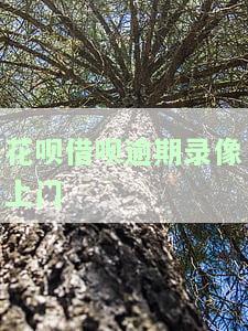 花呗借呗逾期工作人员上门核实，需提供哪些证明材料？接到电话称要上门调查，是真是假？