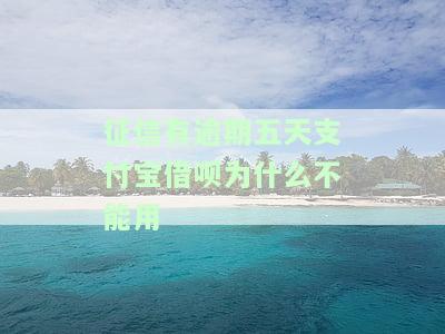 征信有逾期记录会影响支付宝借呗放款吗？安全性如何？