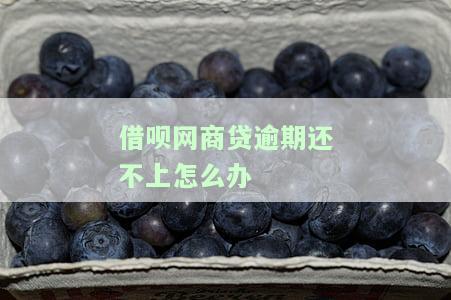 借呗网商贷逾期多久会被起诉？影响、解决方法全解析！