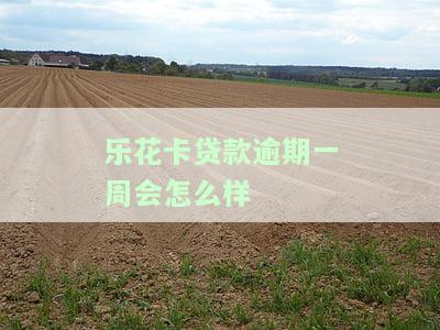乐花卡逾期会怎么样？影响征信、罚款多少？全解析！