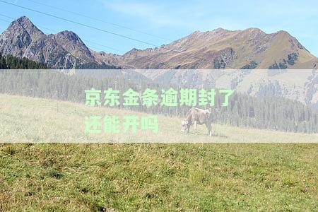 京东金条逾期被暂停使用：多久能恢复？影响征信吗？