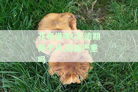花呗借呗共计6万逾期未还，可能面临的后果是什么？