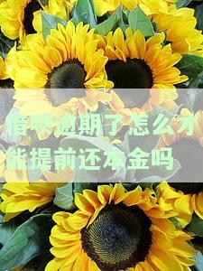 借呗逾期了如何提前还本金？安全吗？