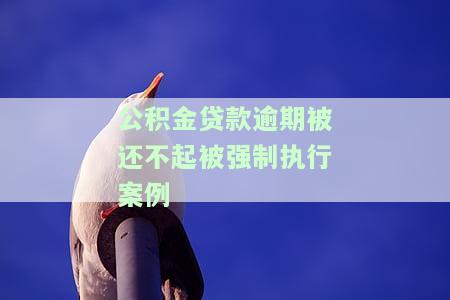 公积金贷款逾期被还不起被强制执行案例-公积金贷款逾期被还不起被强制执行案例视频