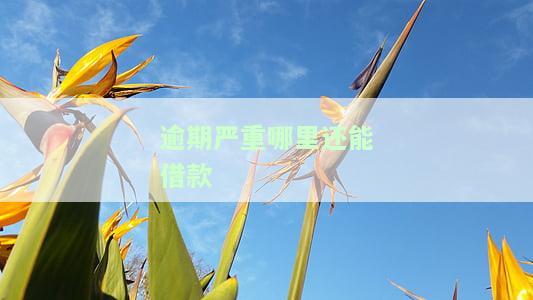 逾期严重哪里还能借款-当前逾期严重哪里还能借款