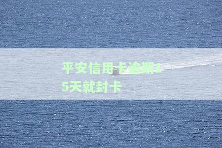 平安银行信用卡逾期：协商还款政策、被起诉风险及影响家人的可能性，逾期一天有无利息？