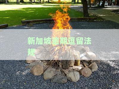 新加坡逾期逗留法规-新加坡逾期逗留法规是什么
