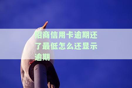 招商卡逾期2期，归还最低额2-3天后能否继续使用？逾期两天还了最低还款会有何影响？还能继续偿还最低额吗？