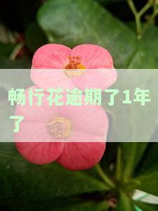 逾期一天的后果：是否会上征信？会有暴力催收吗？逾期两天会受影响吗？