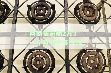 网商贷逾期2万3一个月利息多少钱-网商贷逾期2万会怎么样